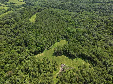 Vacant Land For Sale - 0 TRACT D E. Reinersville Road<br/> Mcconnelsville, OH 45786