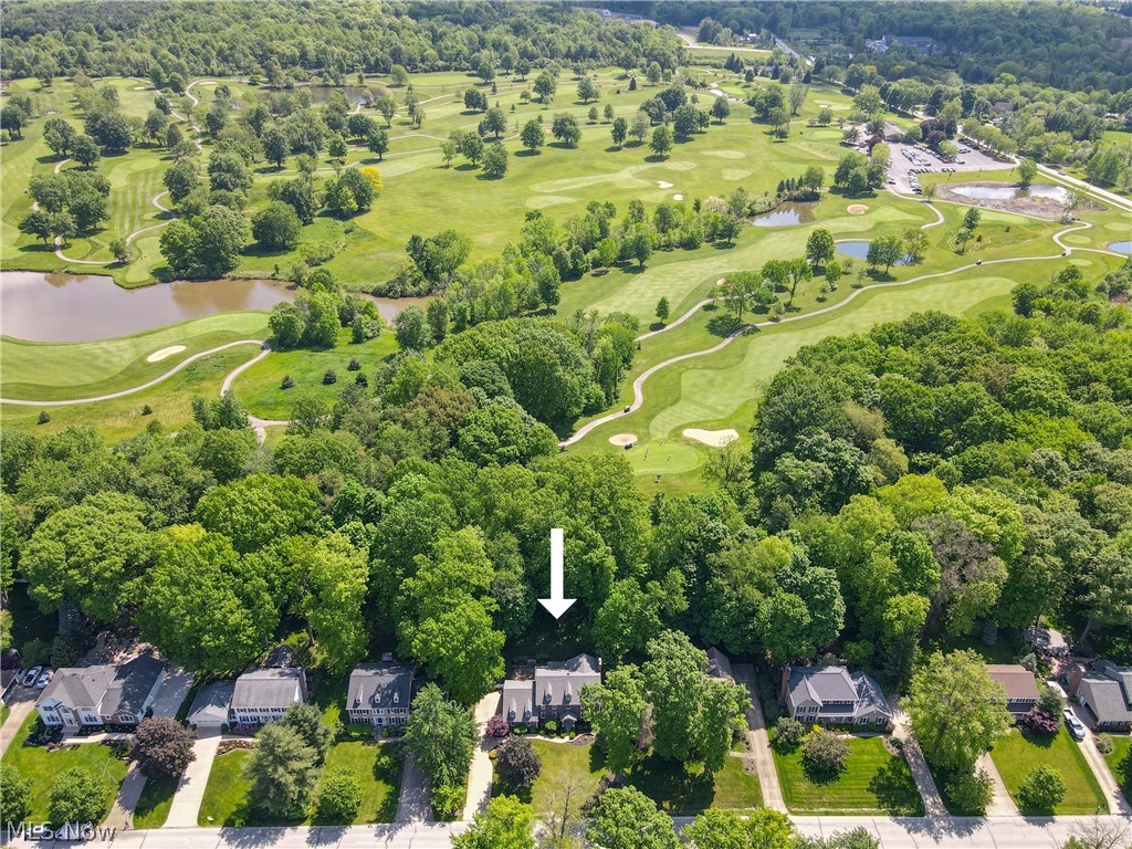 Williamsburg Colony - Residential