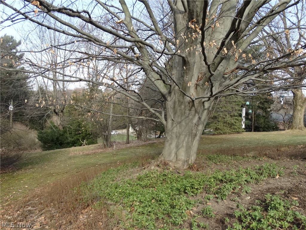 Avondale - Residential