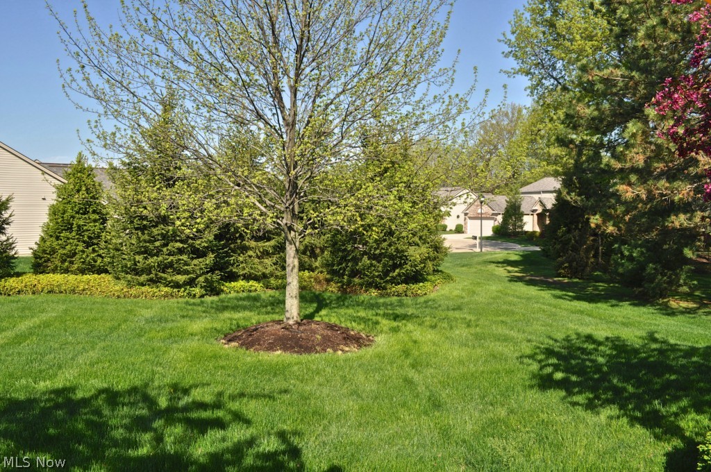 Still Meadow - Residential