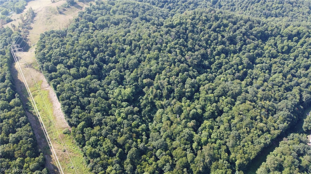 Holberts Run Road, New Cumberland, West Virginia image 9