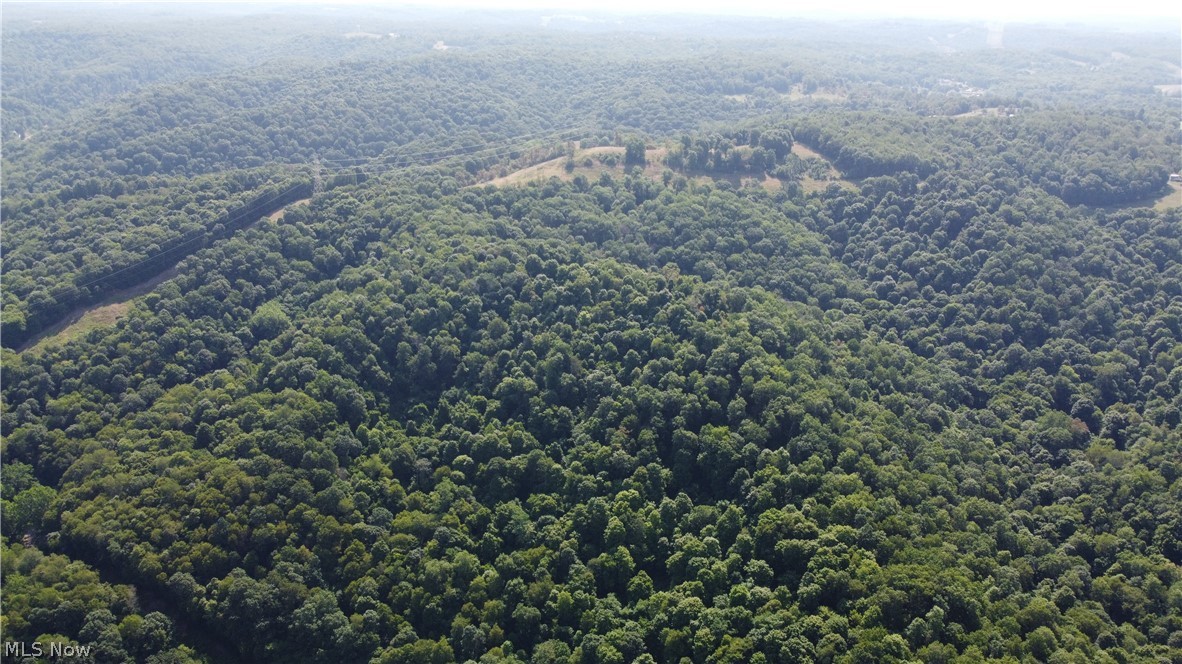 Holberts Run Road, New Cumberland, West Virginia image 16