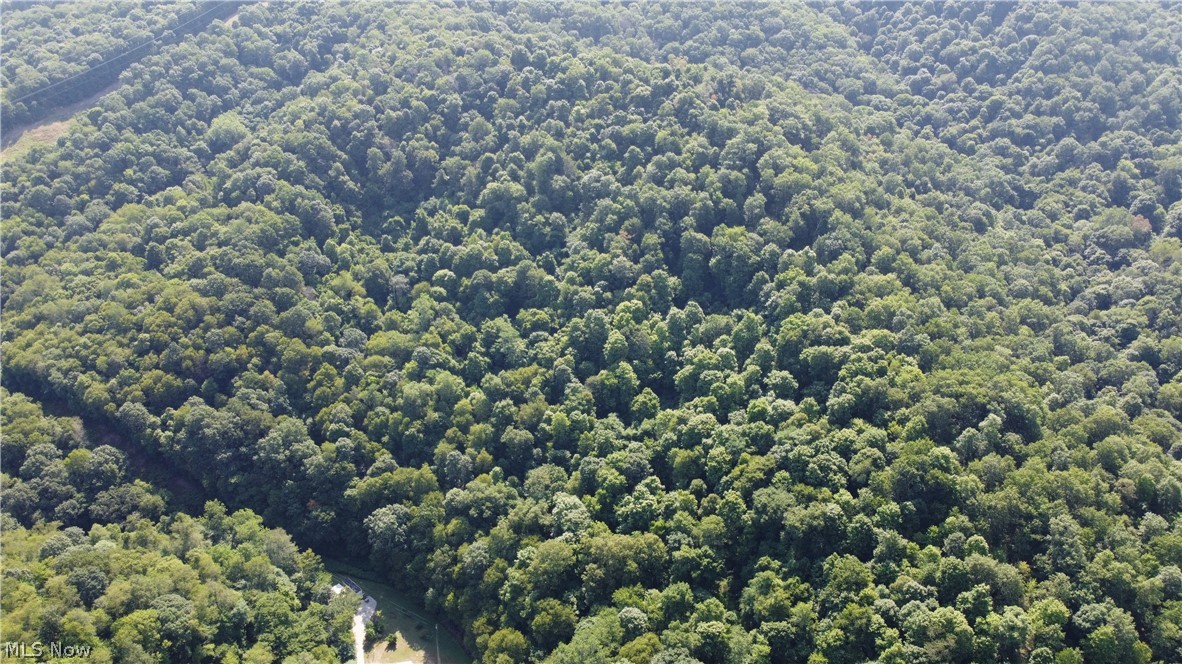 Holberts Run Road, New Cumberland, West Virginia image 4