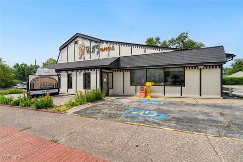 8320 Snow Road Parma OH 44129