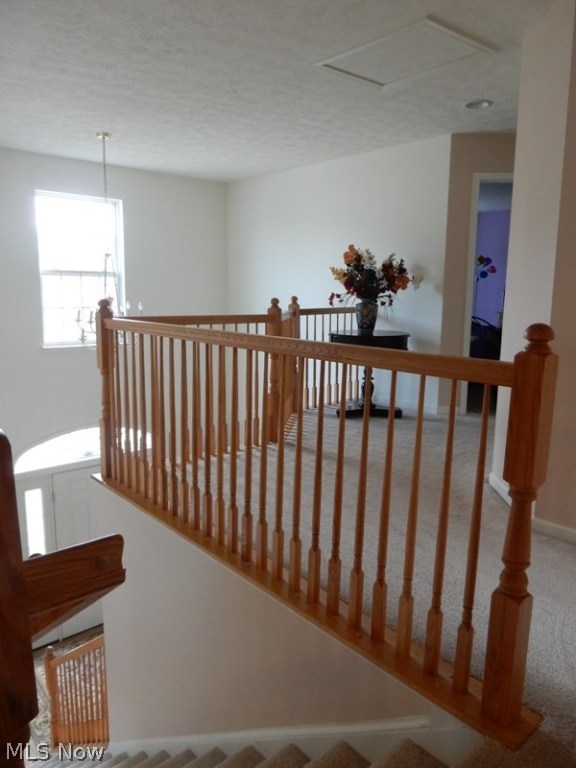 Sutton Woods Estates - Residential