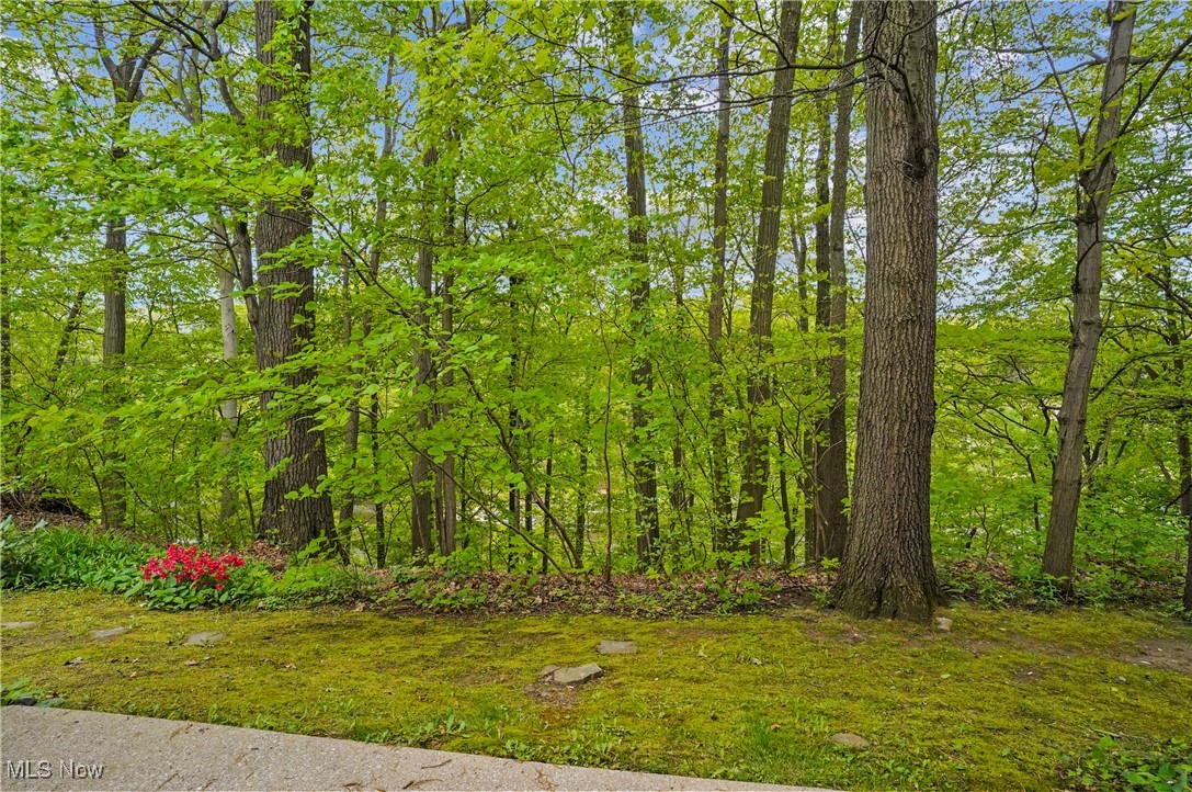 1247 Front Street, Cuyahoga Falls, Ohio image 27