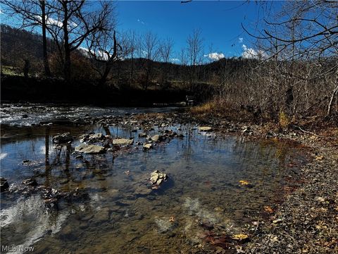 Vacant Land For Sale - Sr 148 & T 506<br/> Belmont County, Powhatan Point, OH 43942