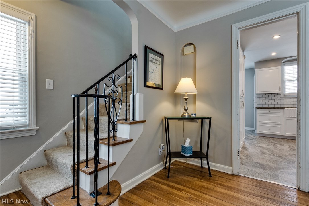 Rapid Transit - Residential