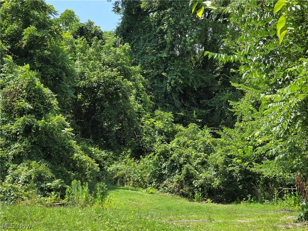 Coshocton Avenue