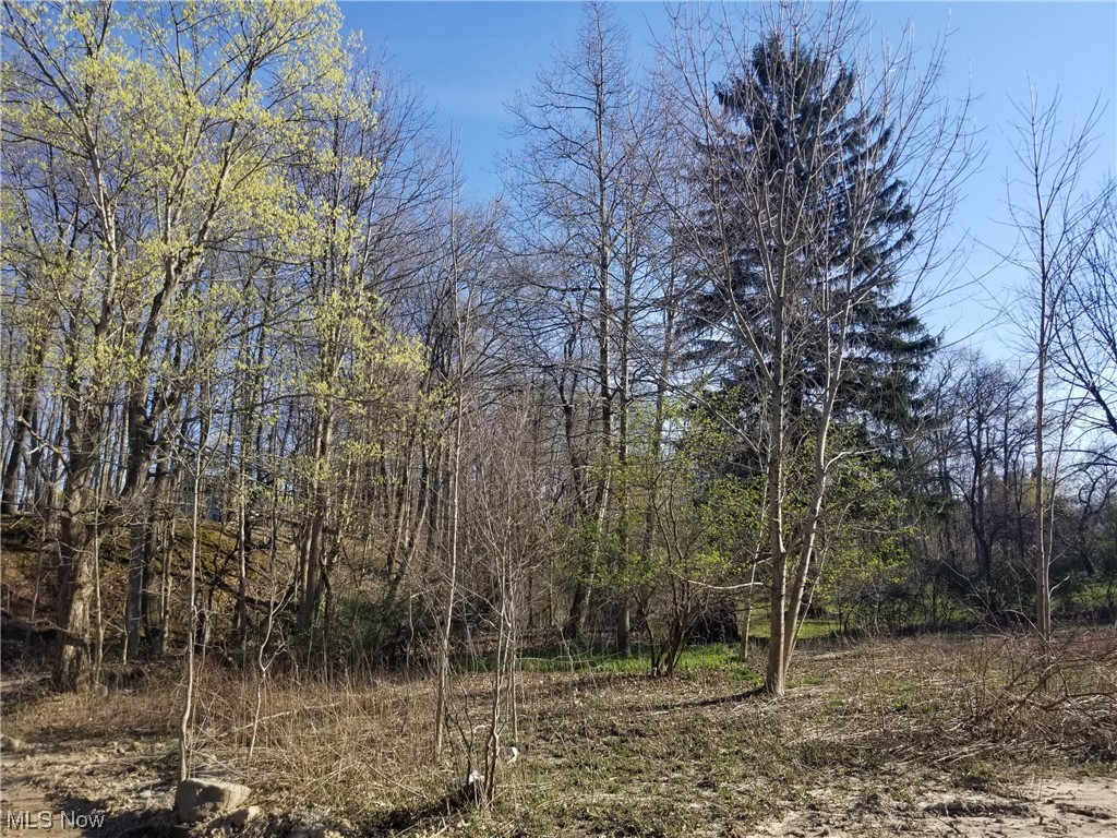 Tract 2 - Residential