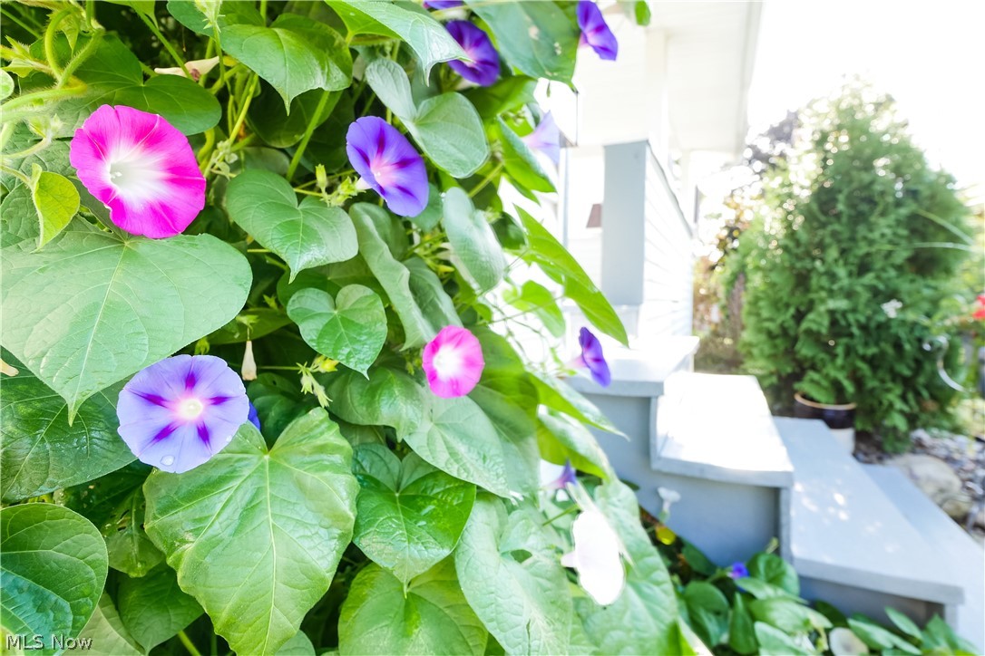 Nihousen - Residential