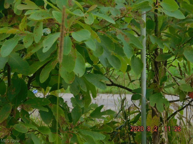 Connecticut Western Reserve - Land