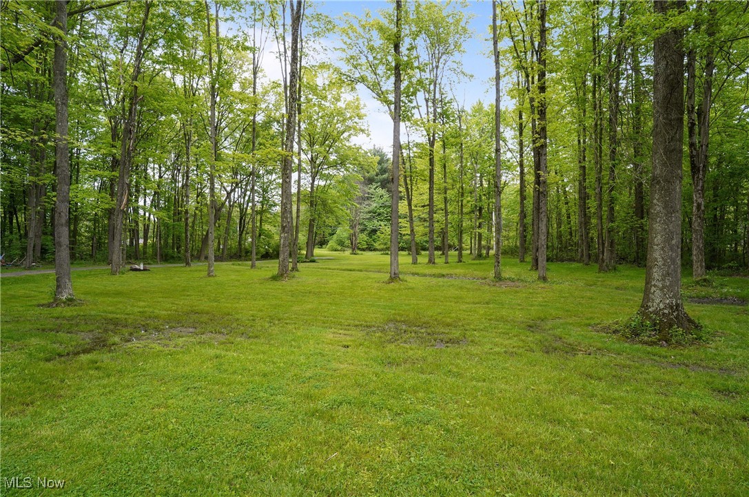 1354 N Pricetown Road, Diamond, Ohio image 21