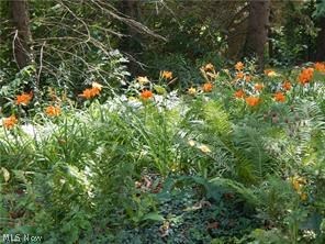 Franklin - Residential