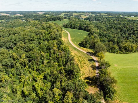 Vacant Land For Sale - 10261 Fiat Road<br/> Stone Creek, OH 43804