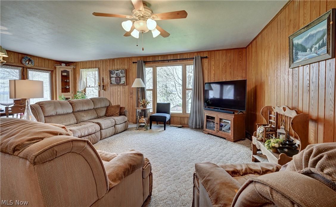 Andrew Miller's Allotment - Residential