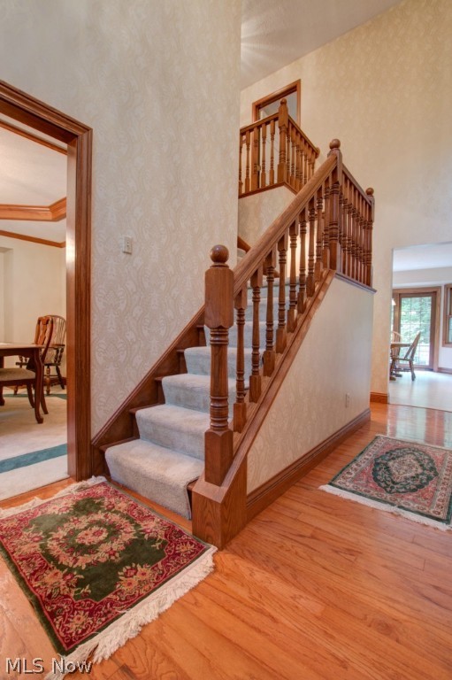 Hunters Meadow - Residential