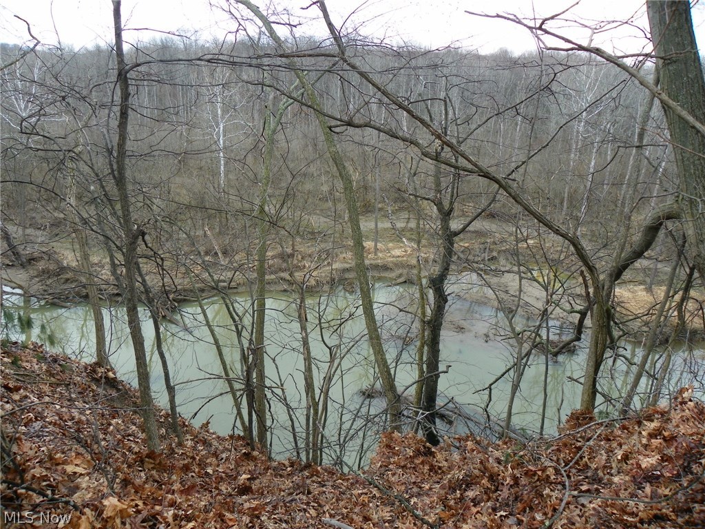 Terrace Woods Condo - Residential