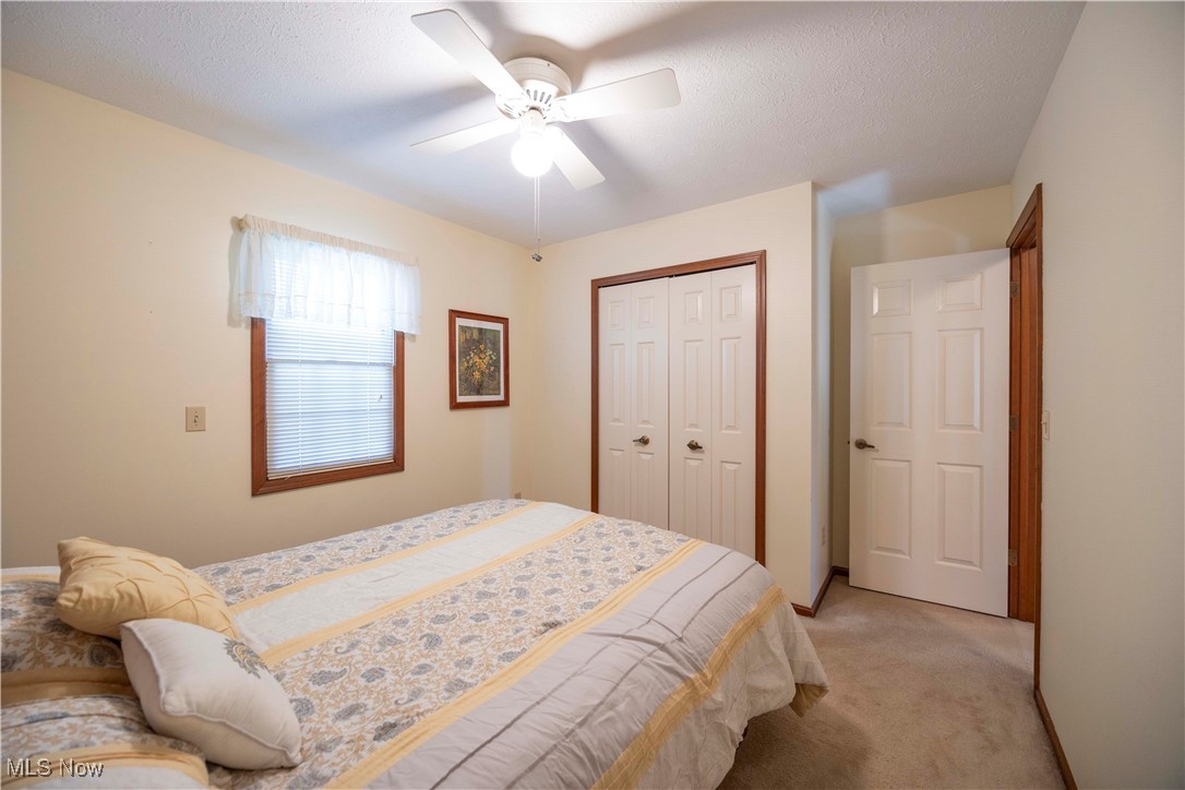 24928 Copopa Trail, Columbia Station, Ohio image 33