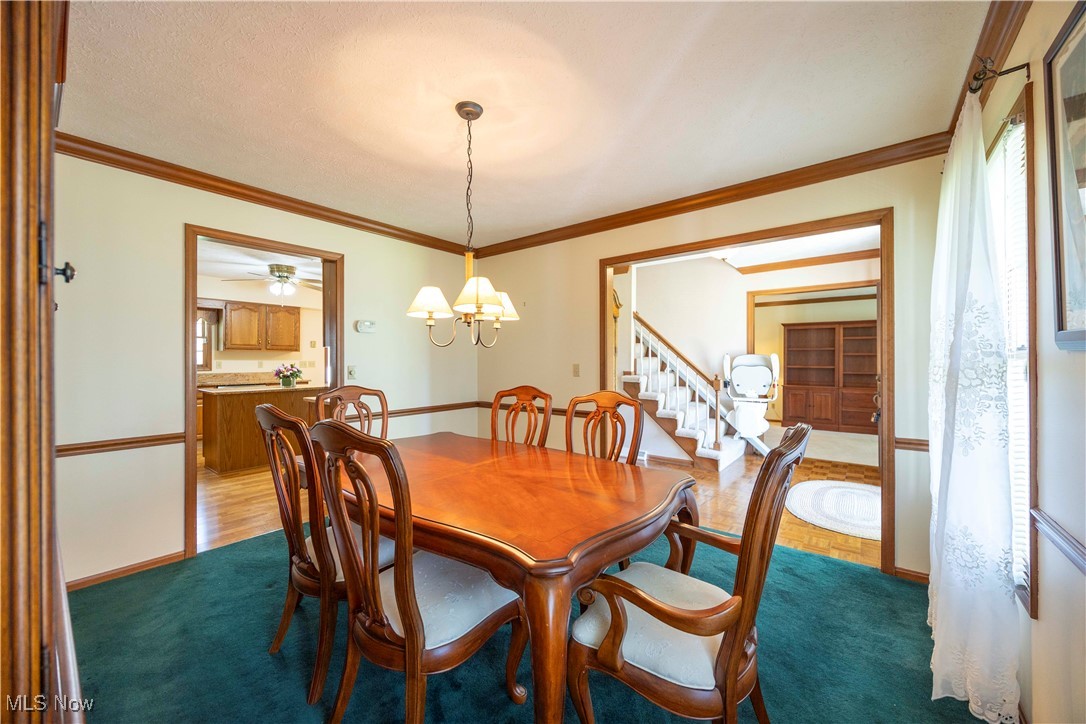 24928 Copopa Trail, Columbia Station, Ohio image 16