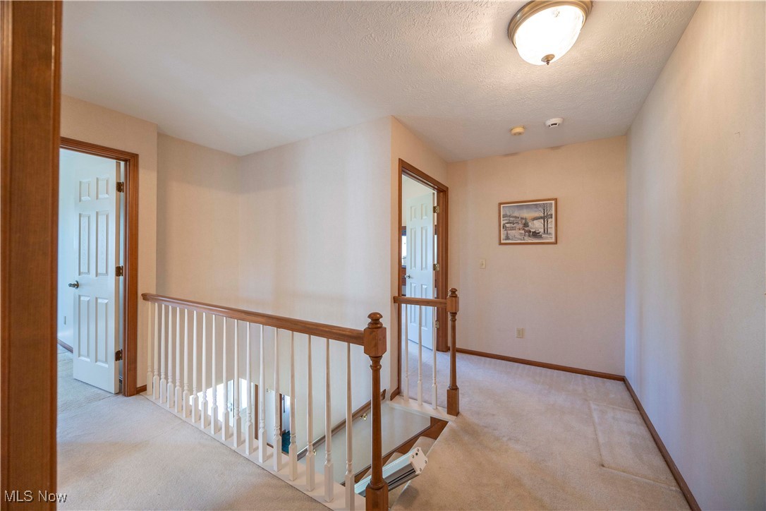 24928 Copopa Trail, Columbia Station, Ohio image 24