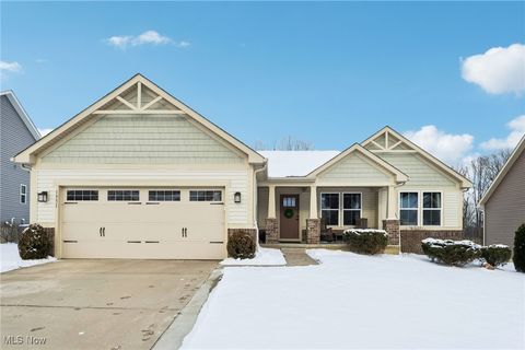 Homes For Sale - 1951 E Woodland Drive<br/> Akron, OH 44313