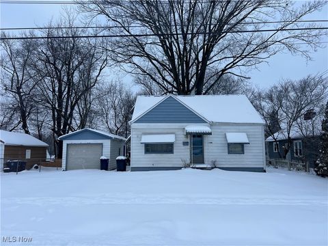 Homes For Sale - 1248 Greenwood Avenue<br/> Akron, OH 44320