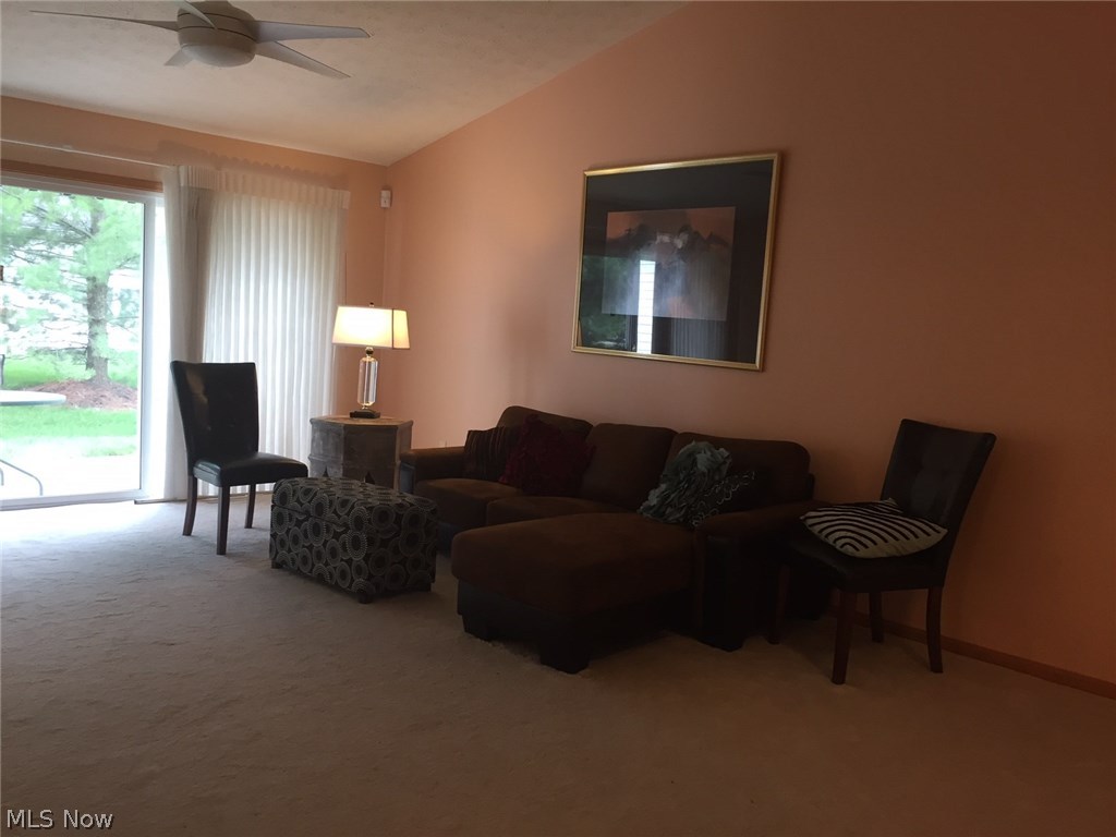 Wildflower Condominums - Residential