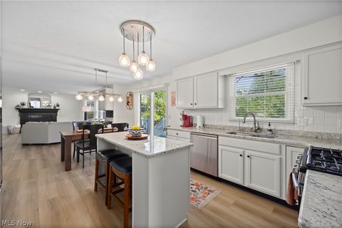 Tiny photo for 945 Red Tailed Lane, Amherst, OH 44001 (MLS # 5203212)