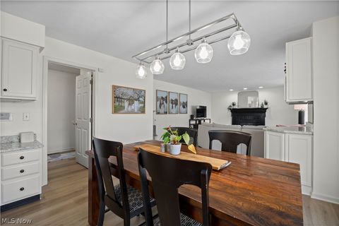 Tiny photo for 945 Red Tailed Lane, Amherst, OH 44001 (MLS # 5203212)