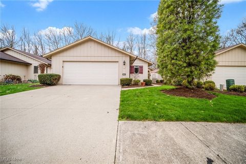 11150 Blodgett Creek Trail, Strongsville, OH 44149 - #: 5115643