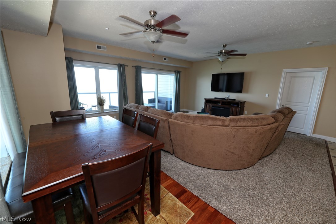 Lake Erie Vista Condo - Residential