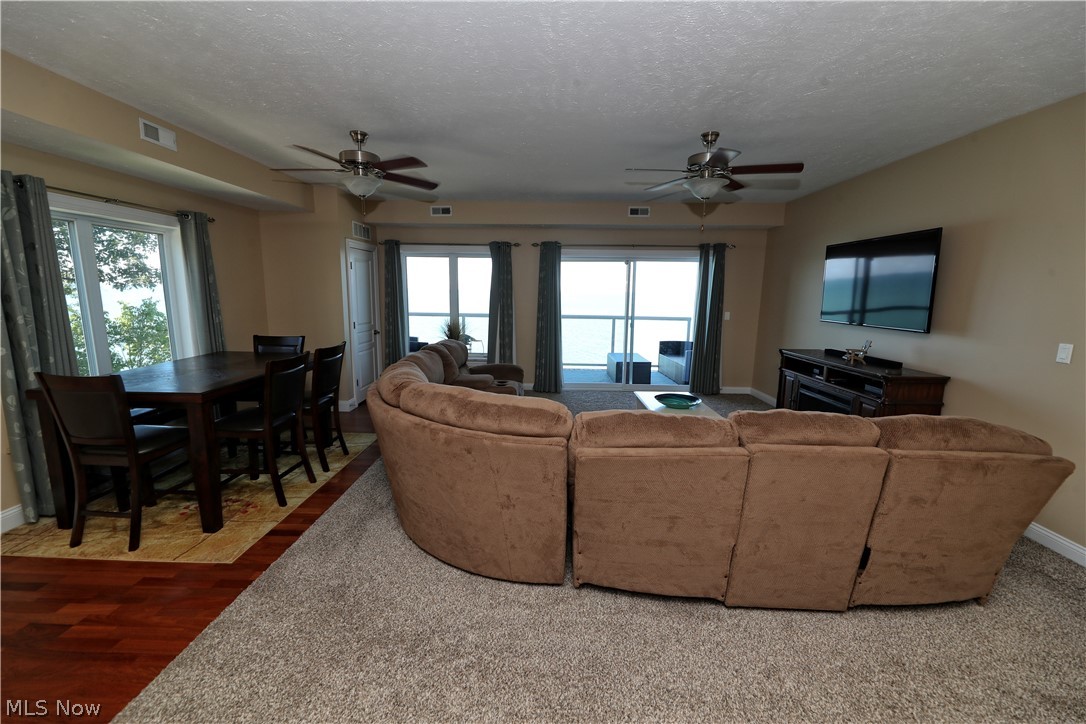 Lake Erie Vista Condo - Residential