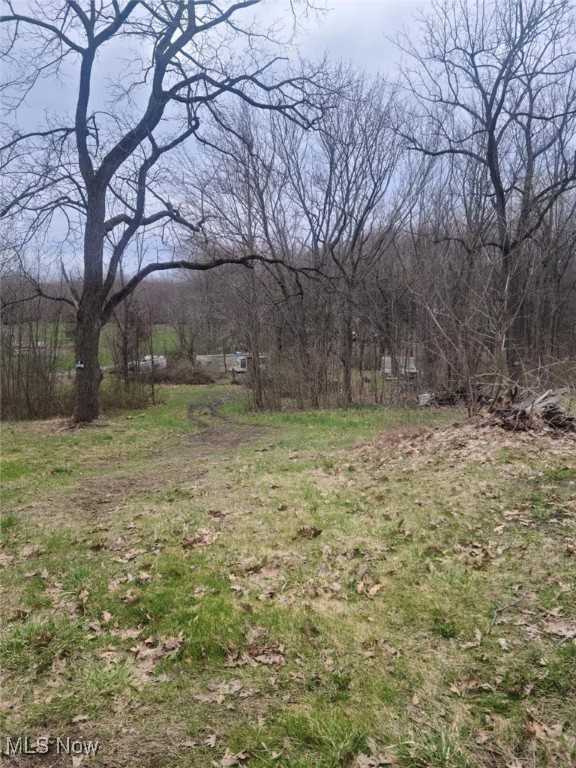 Building Lot on Rolling 3 Acres in Saybrook Township / Presently used for recreation / Zoned Residential
