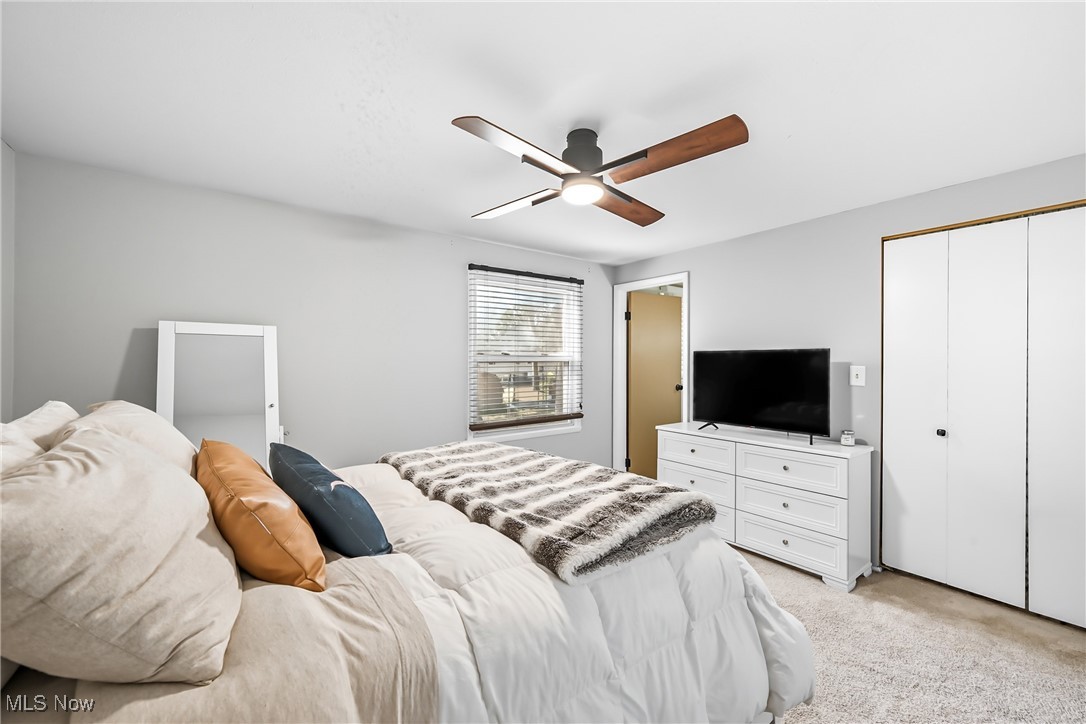 Albion Heights - Residential