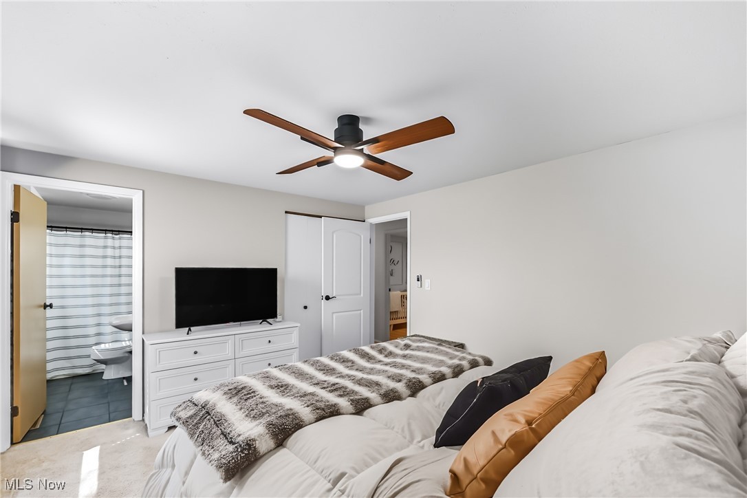 Albion Heights - Residential
