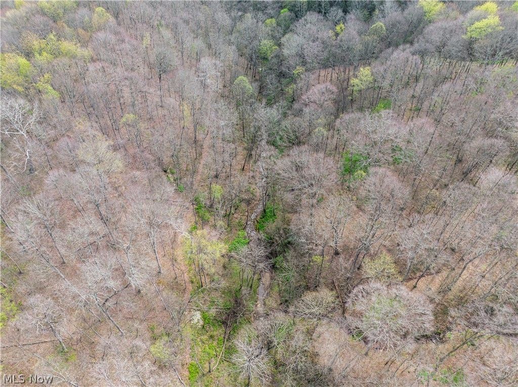 Photo of E Captina Highway Road, Alledonia, OH 43902 (MLS # 5206071)