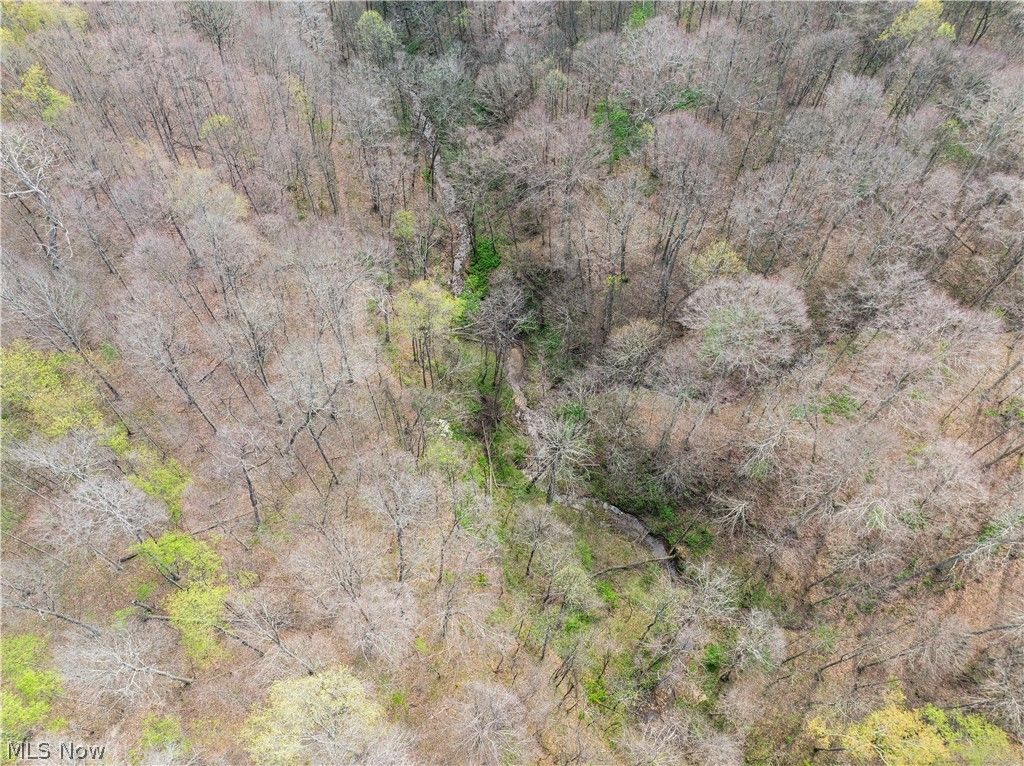 Photo of E Captina Highway Road, Alledonia, OH 43902 (MLS # 5206071)