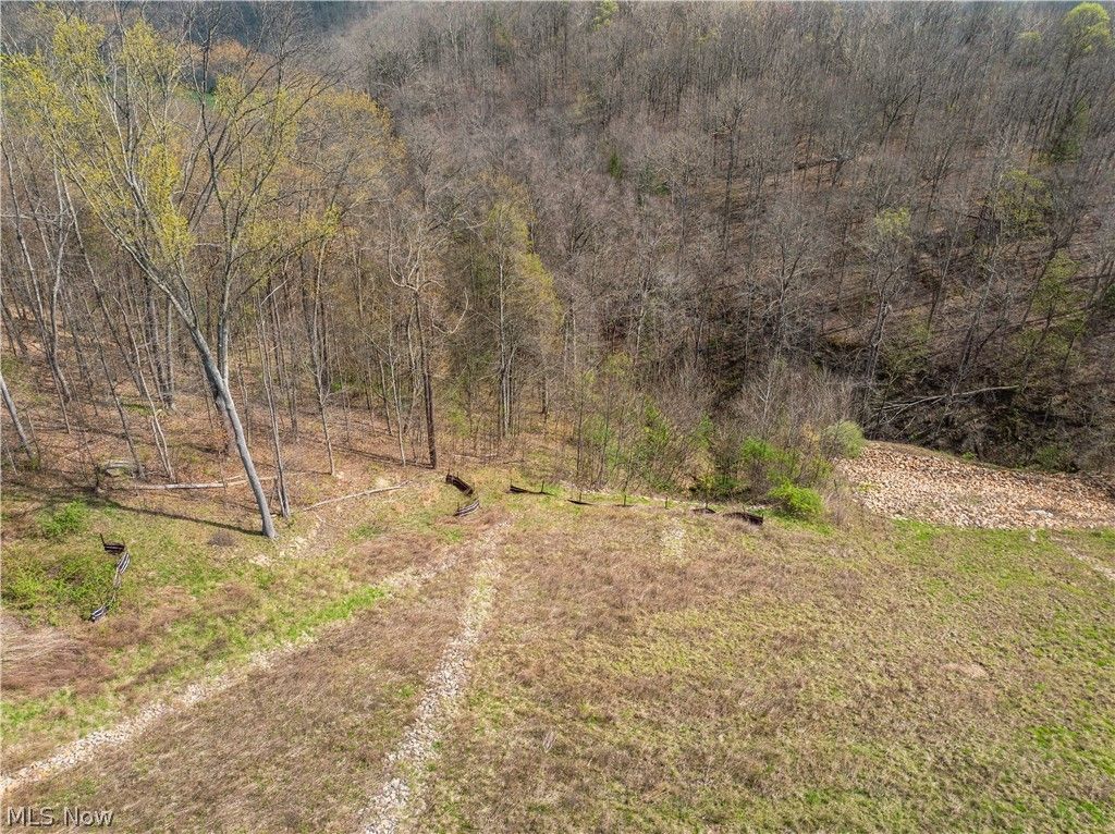 Photo of E Captina Highway Road, Alledonia, OH 43902 (MLS # 5206071)