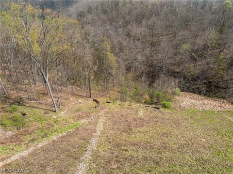 Vacant Land For Sale - E Captina Highway Road<br/> Alledonia, OH 43902
