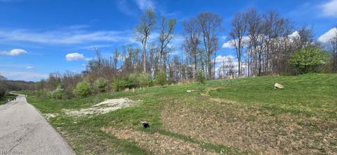 Vacant Land For Sale - 14465 Retriever Run<br/> Geauga County, Novelty, OH 44072