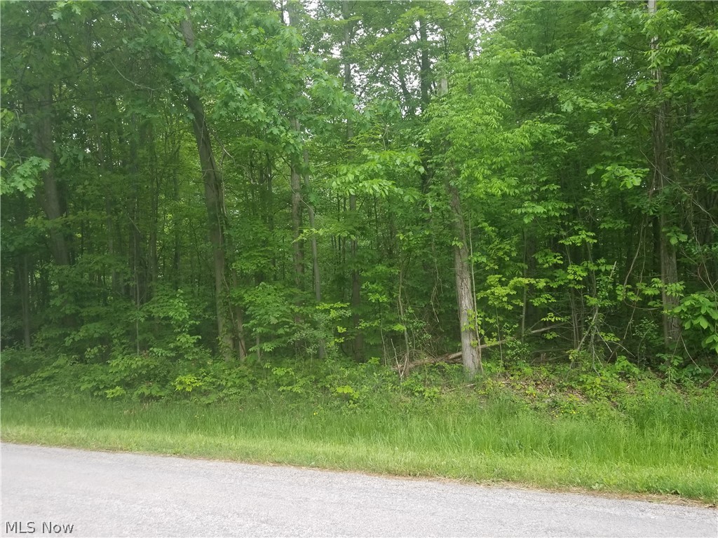 fully wooded lot, across from lake front property, and close distance to a common area with lake access for fishing or kayak launch. Lot ownership allows access to the lake and all common area. Roaming Shores has its own water company and police station. Beautiful area to build your dream home! You can walk the property any time at your own risk. No camping or mobile homes allowed on the lot.