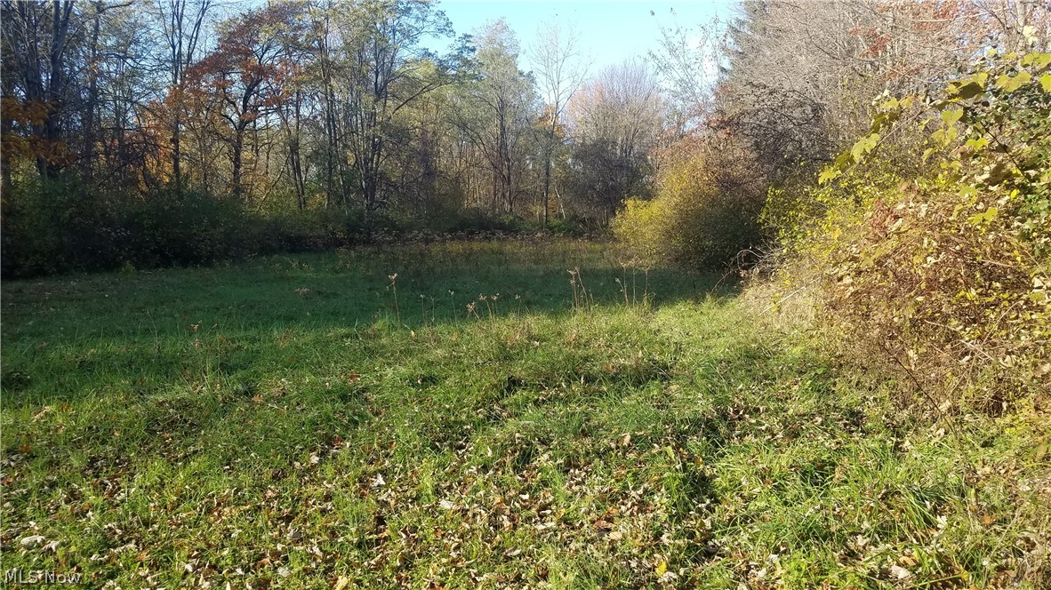 SECLUDED 5 acre lot in South Mentor with a myriad of possibilities. A balanced combination of open spaces and heavy woods. A fabulous place to build a very private "dream home" or perhaps a subdivision. (Adjacent owner says he would be willing to sell to a builder.) The current home is in poor condition but could be renovated. Meanwhile, it supports a mortgage loan without having to pay cash for land only. Per Mentor City zoning code 1157.08, up to 5 horses are allowable on this property. Wonderful opportunity for a private retreat or cluster home community. Per Mentor City code 1158, this property meets requirements for a PUD. Call agent for more details