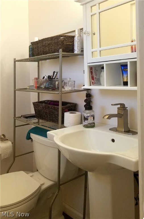 Rose Tree - Residential