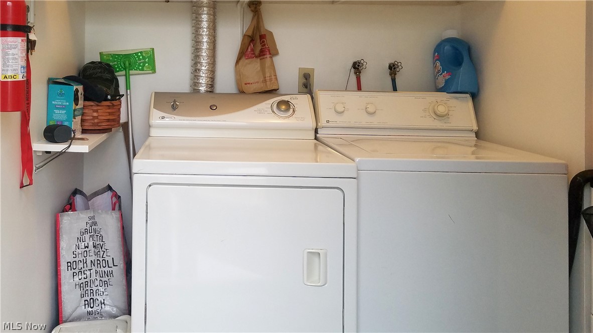 Rose Tree - Residential