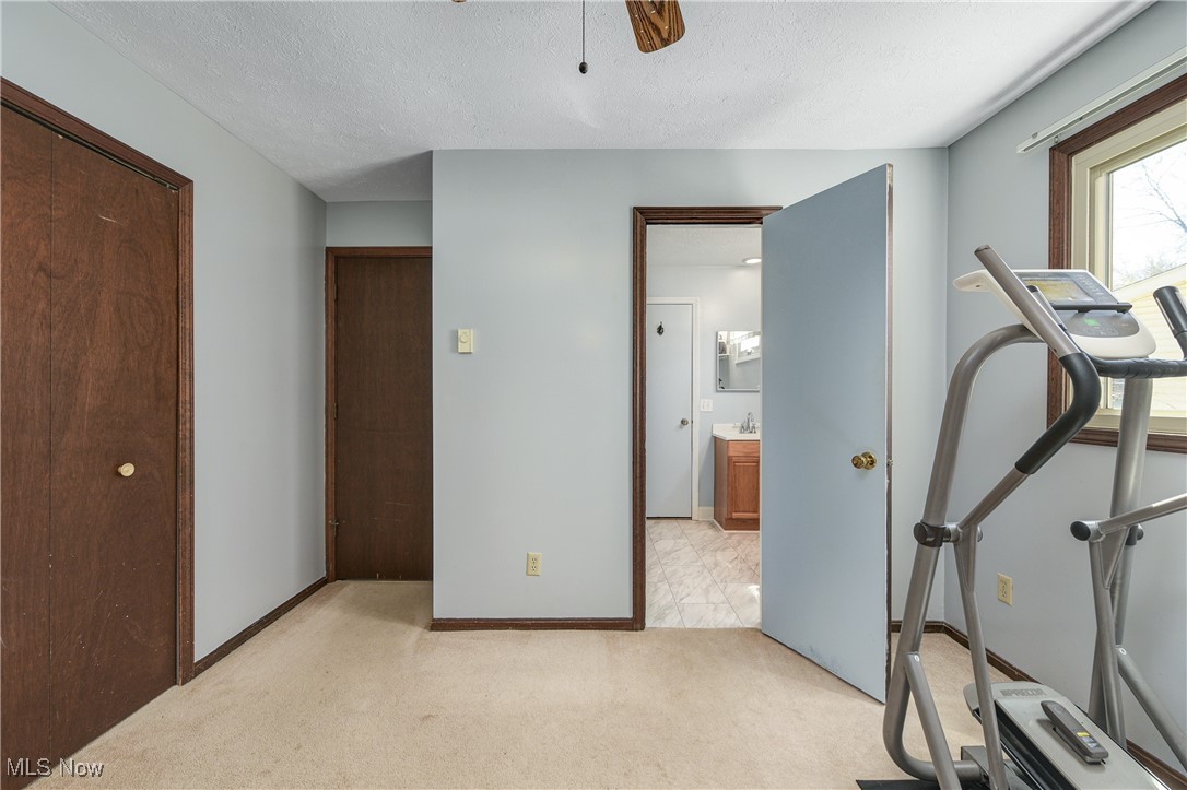 6501 Hidden Tree Lane, Amherst, Ohio image 28