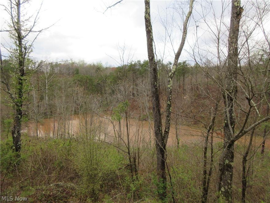 This secluded property offers a lot to the new owner at an affordable price. A pond with a creek, underbrush with small pines growing throughout, and nice ridges converging on the property, this property is set up for ideal wildlife habitat and travel corridors. The property was previously timbered several years back with soft stump remaining. The access has been recently surveyed.