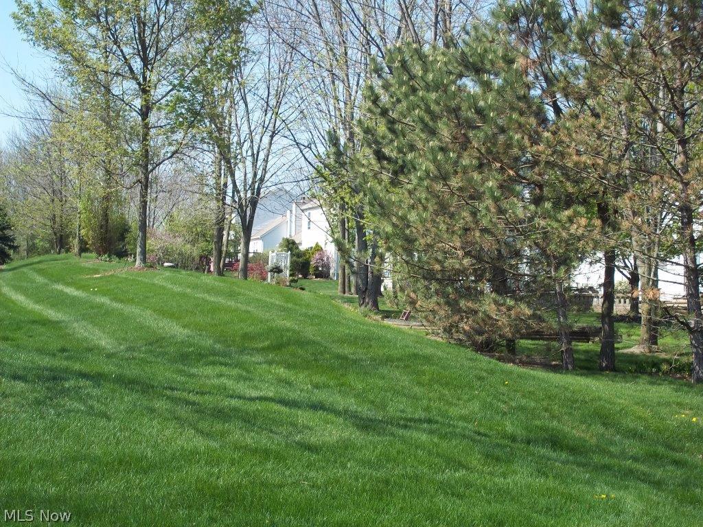 Park Ridge - Residential