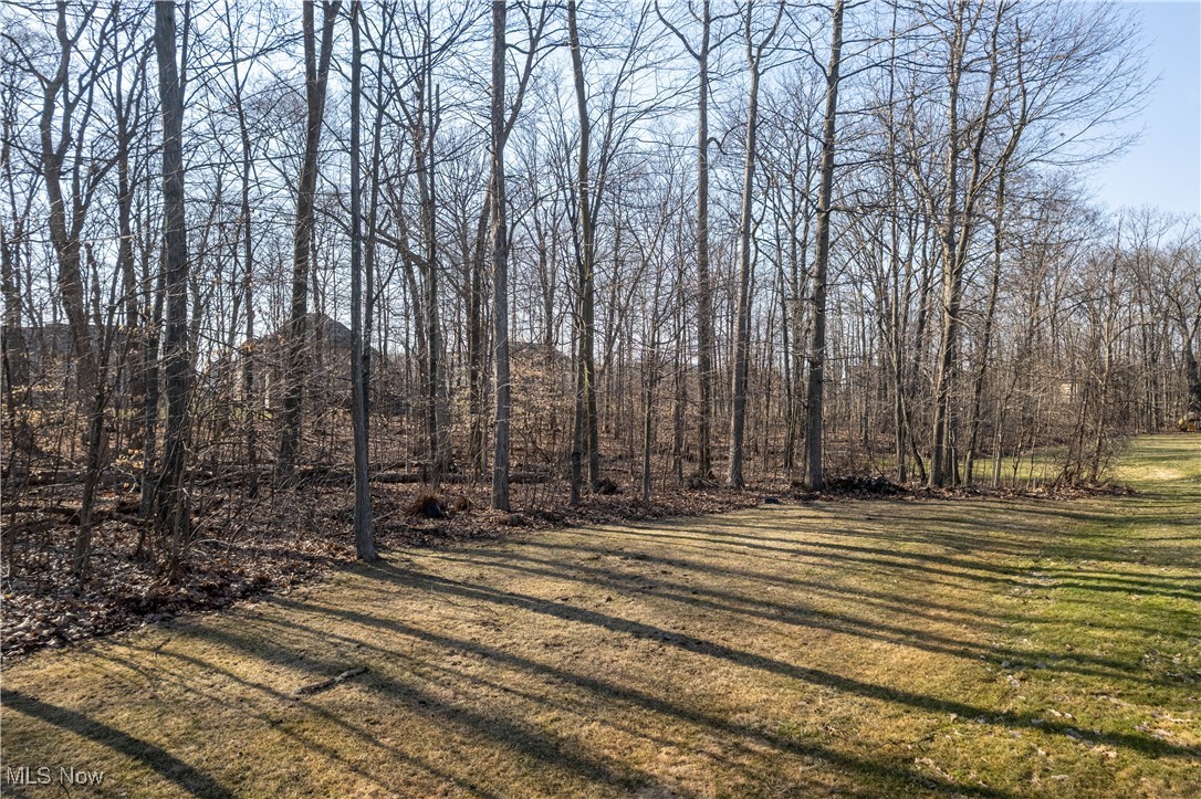 6456 Torington Drive, Medina, Ohio image 39