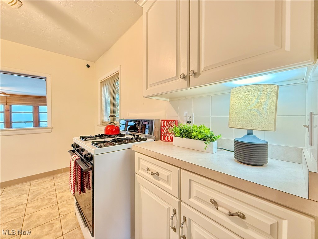 Village Chippewa Lake - Residential